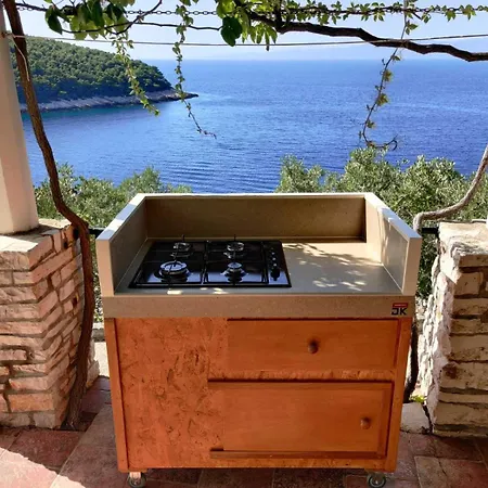Villa Unique Seaside With Pool Vela Luka