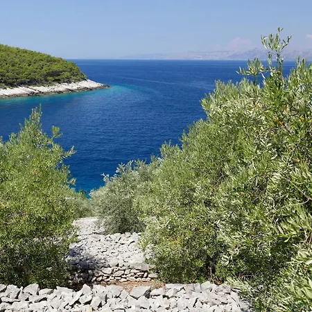 Unique Seaside With Pool Vela Luka