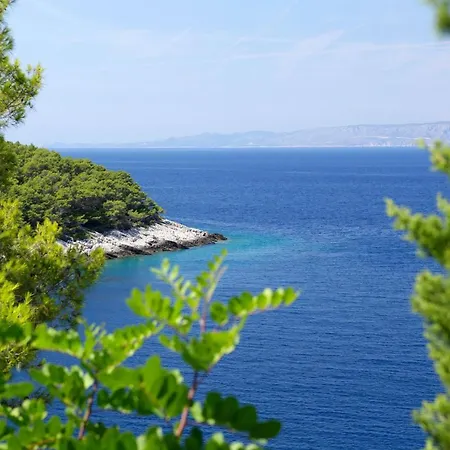 Unique Seaside With Pool Vela Luka